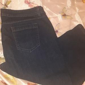 GLORIA VANDERBILT CAPRIS